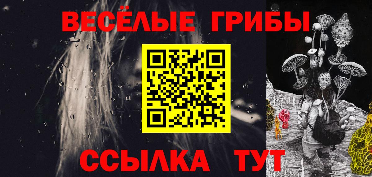 Псилоцибиновые грибы Psilocybine cubensis Димитровград