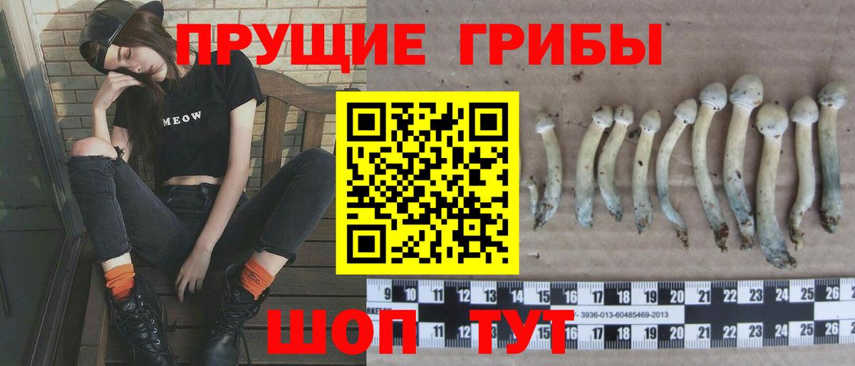 Галлюциногенные грибы мицелий  купить закладку  Вход с VPN  Димитровград  Галлюциногенные грибы Psilocybine cubensis 